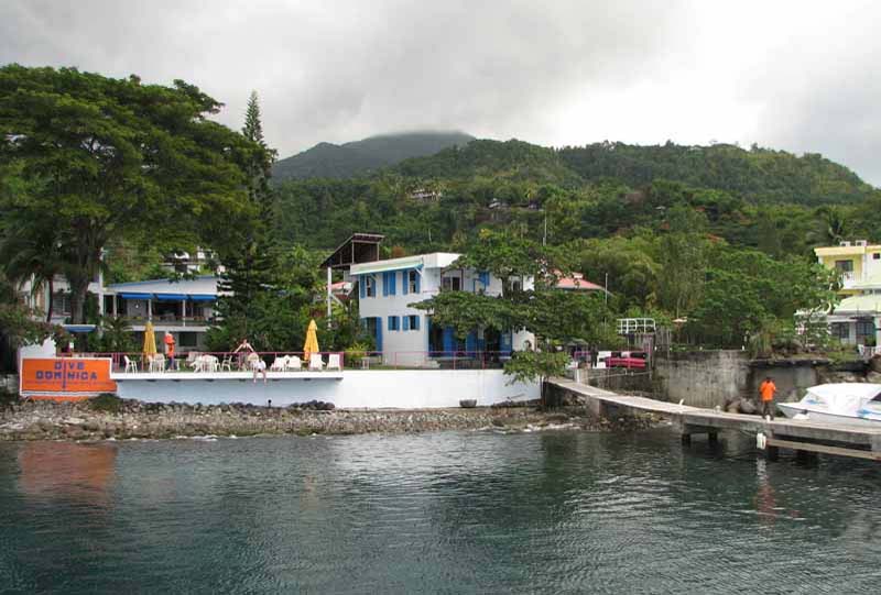 Dive Dominica