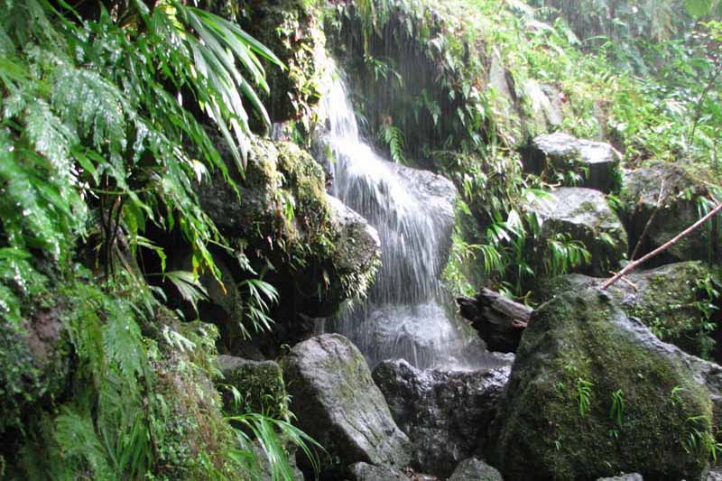 Middleham Falls hike