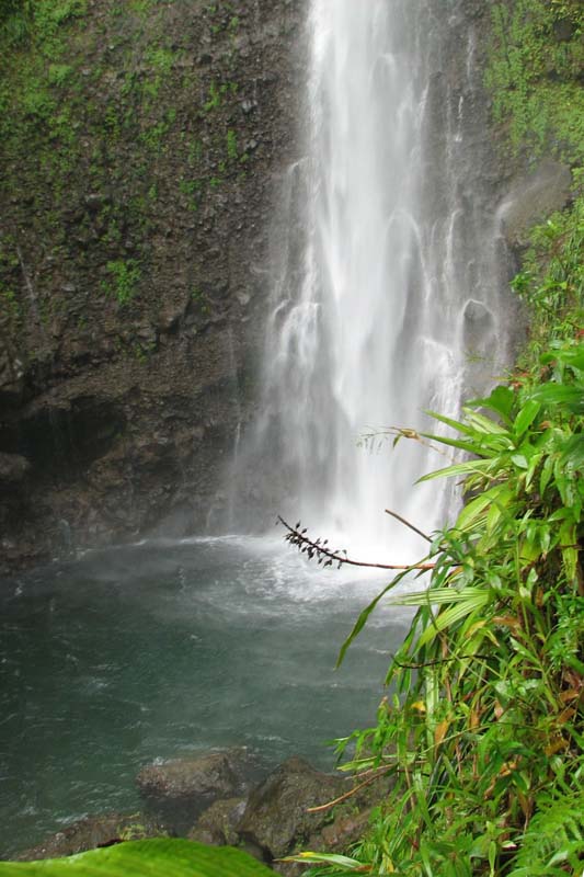 Middleham Falls pool