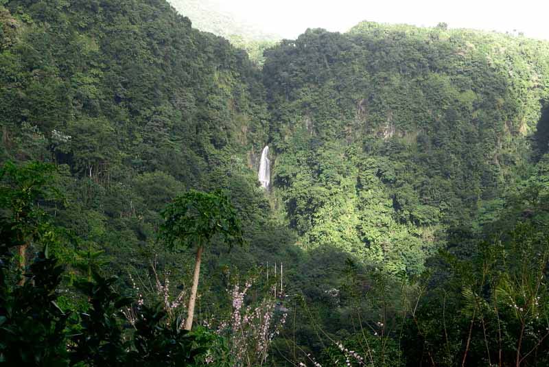 Trafalgar Falls - Papa (2)