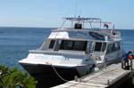 Dive Dominica Sting Ray II